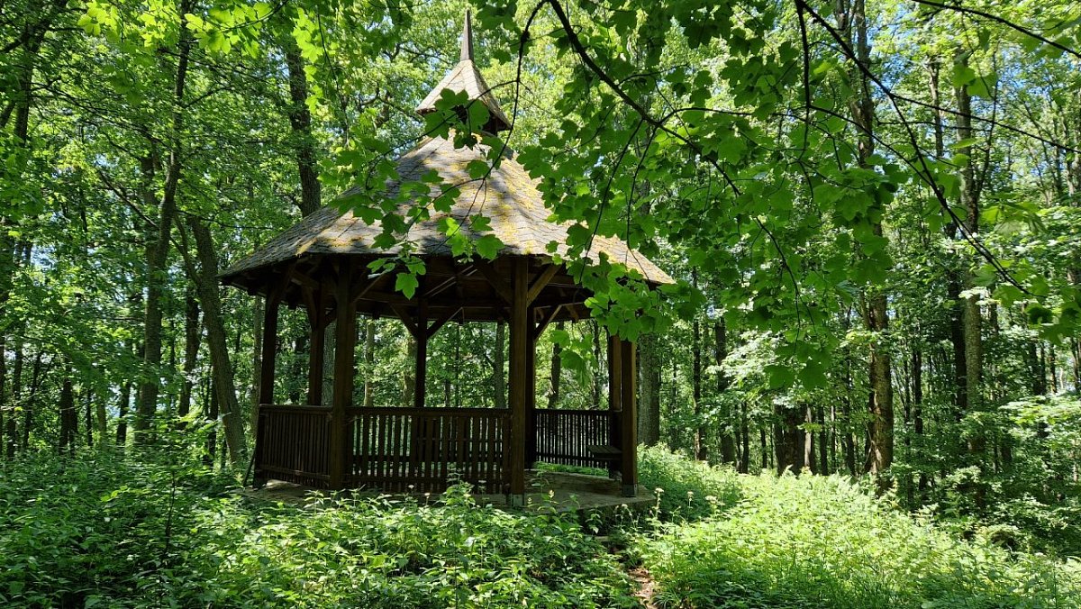 Žižkův vrch (750&nbsp;m)