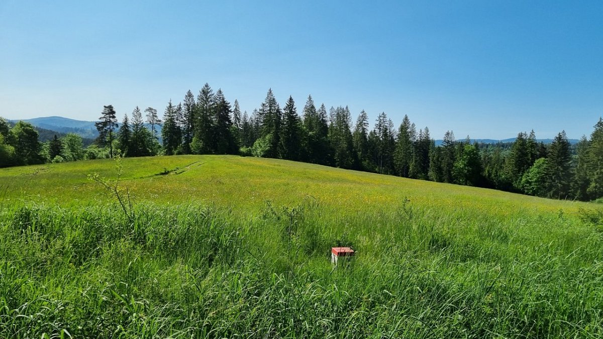 Praženková (583&nbsp;m)
