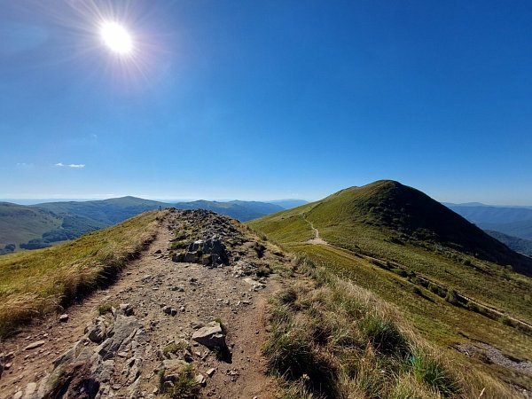 Tarniczka