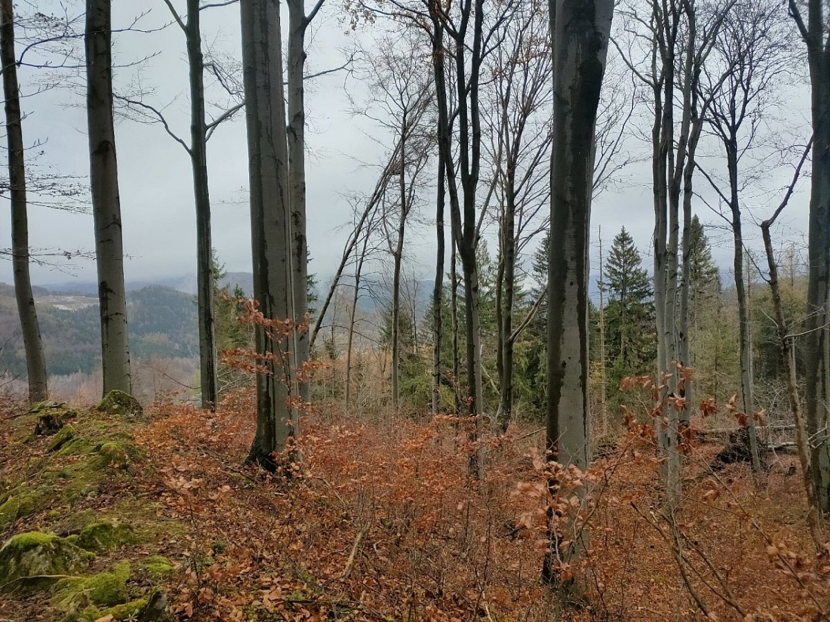 Mramorový vrch (715&nbsp;m)