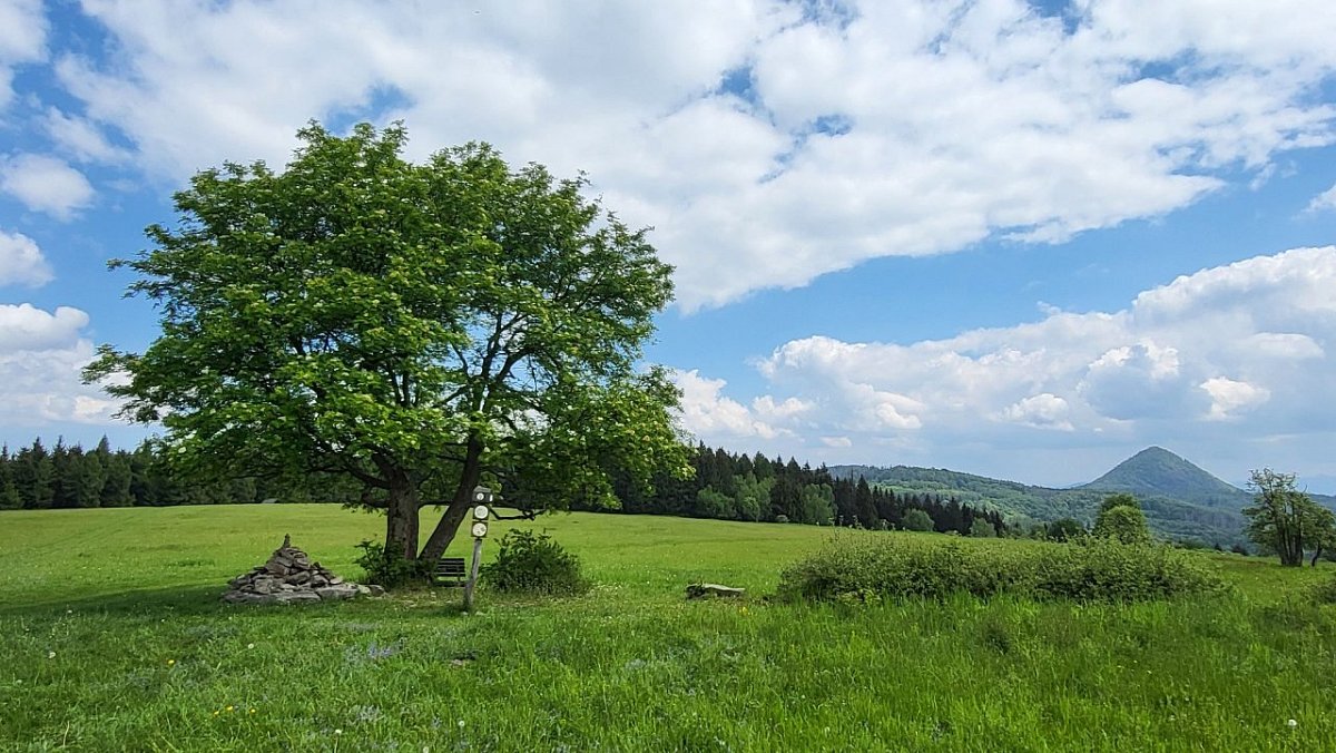 Polevský vrch (628&nbsp;m)