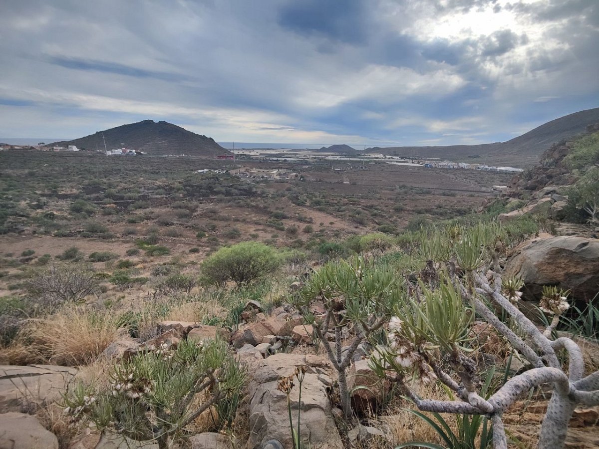 Roque de Malpaso (194&nbsp;m)