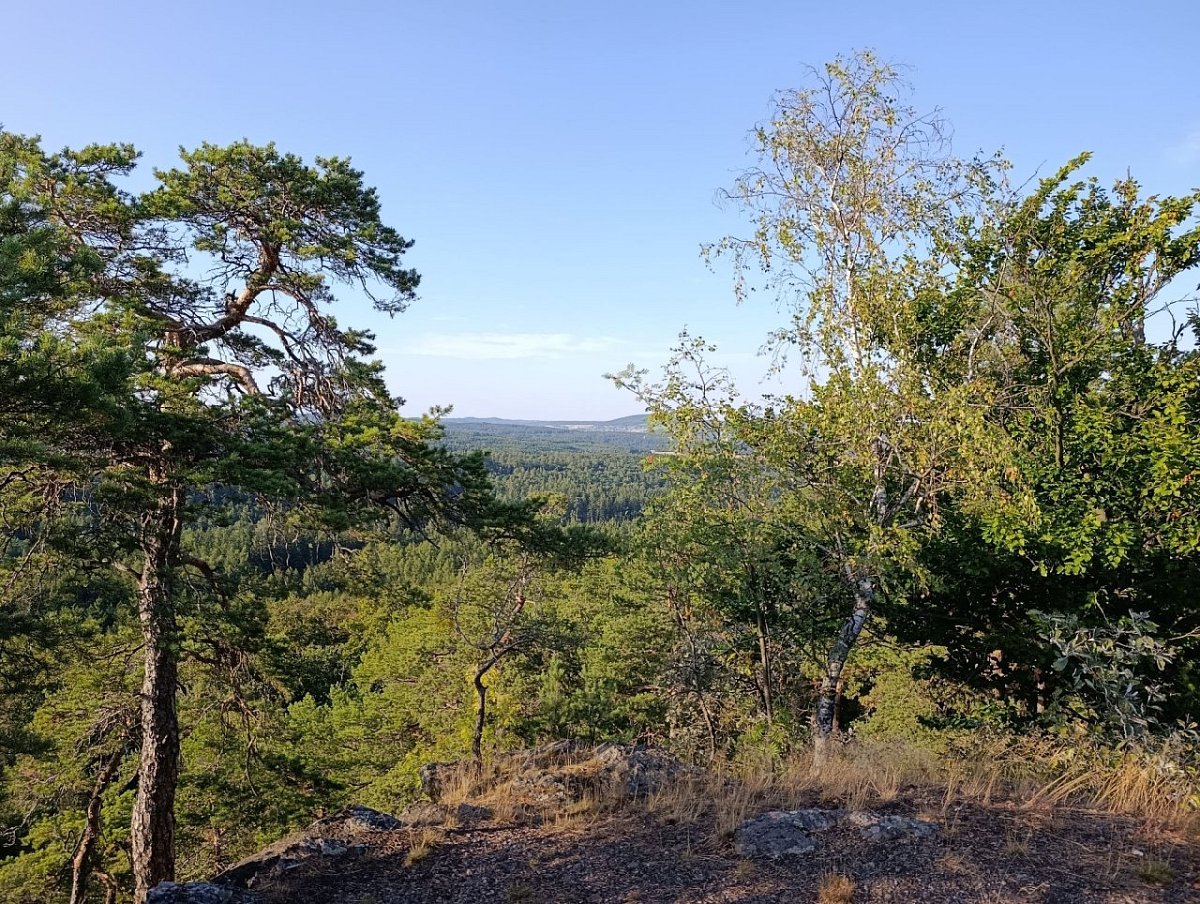 Isabelka (557&nbsp;m)