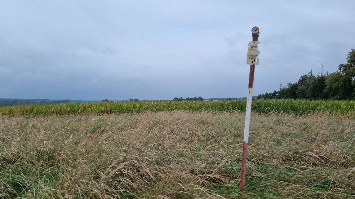 Na Veselském kopci (423&nbsp;m)