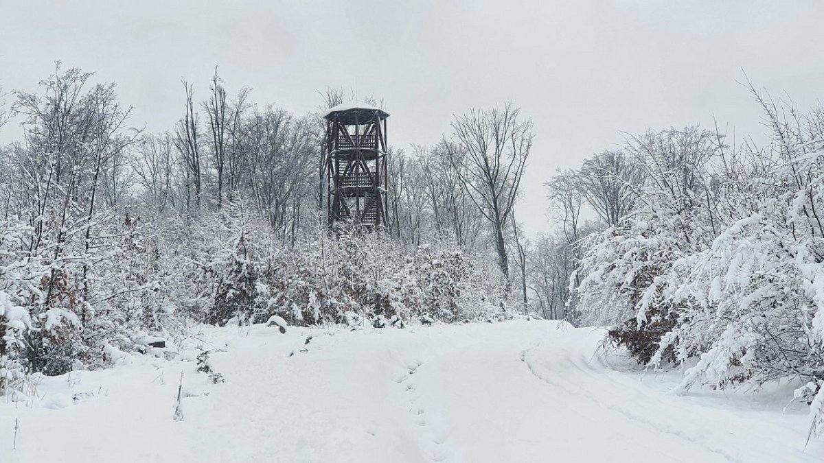 Malkovská hôrka (481&nbsp;m)