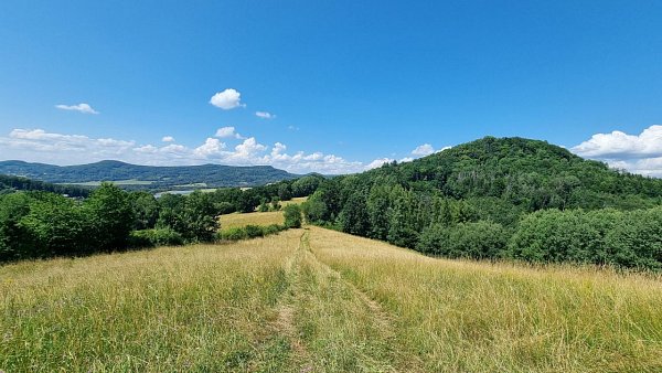 Lípovec