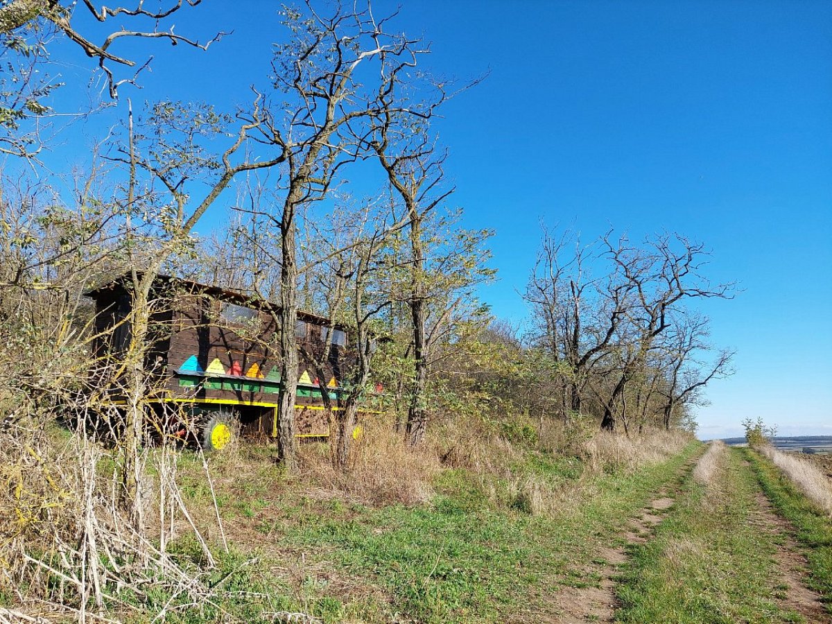 Liščí kopec (232&nbsp;m)