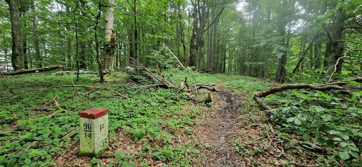 Rydoszowa (880&nbsp;m)