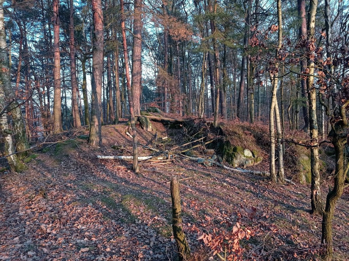 Parlesův vrch (262&nbsp;m)