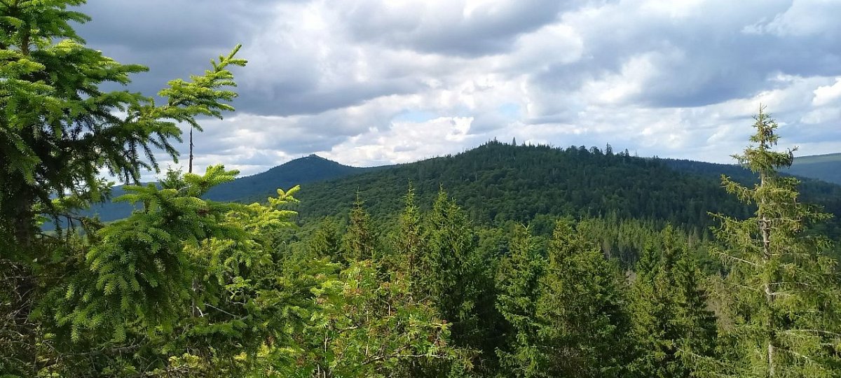 Hohlstein (1196&nbsp;m)