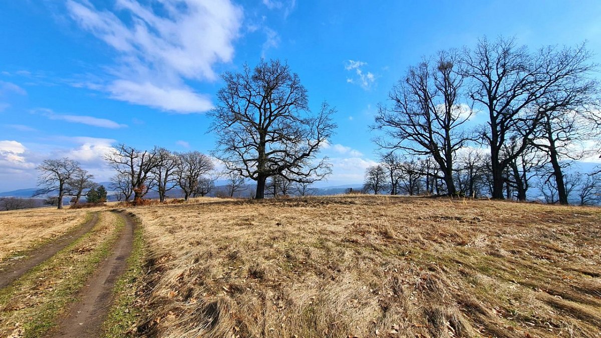 Rejchard (625&nbsp;m)
