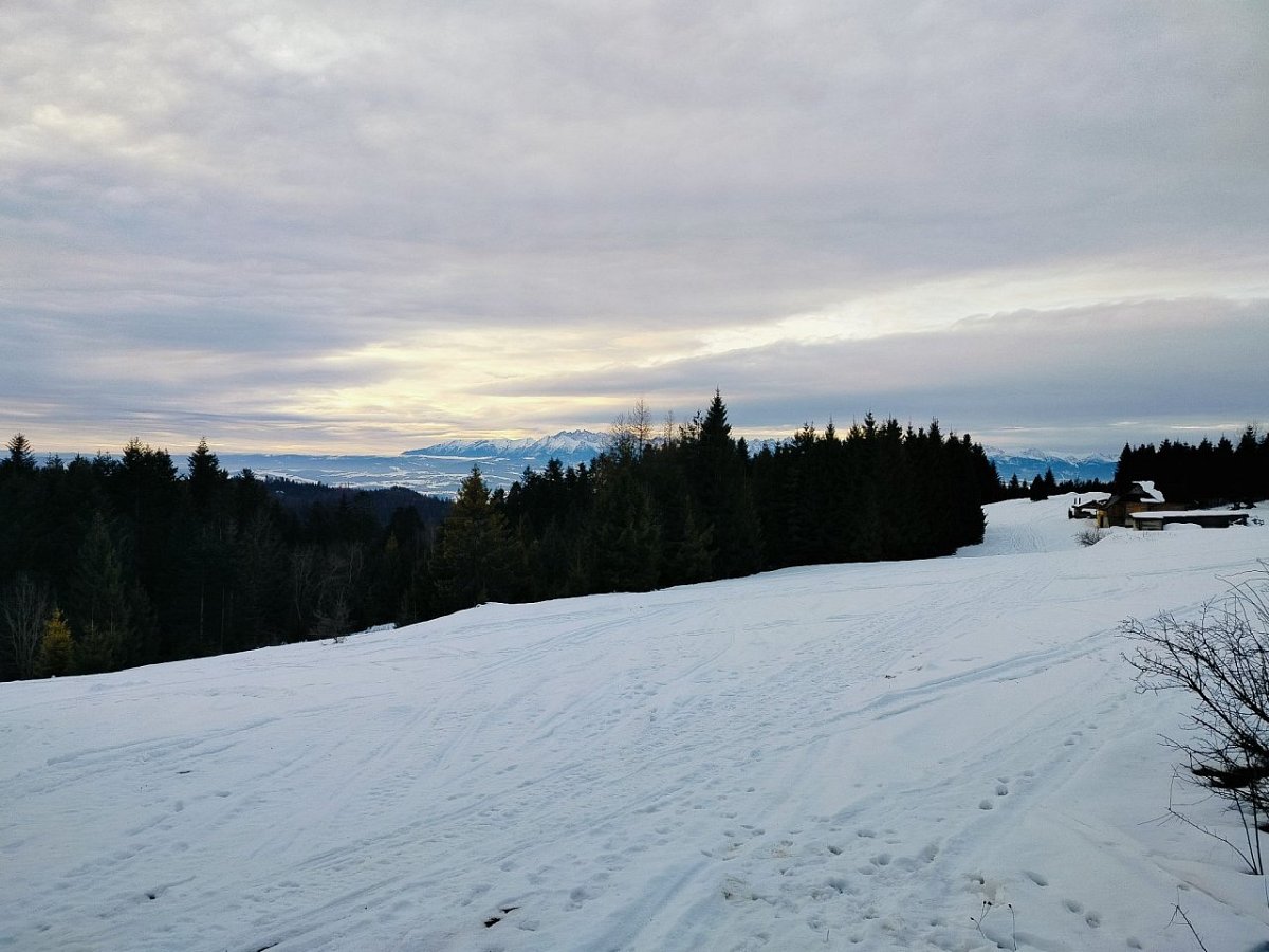 Bukowina Miejska (1103&nbsp;m)