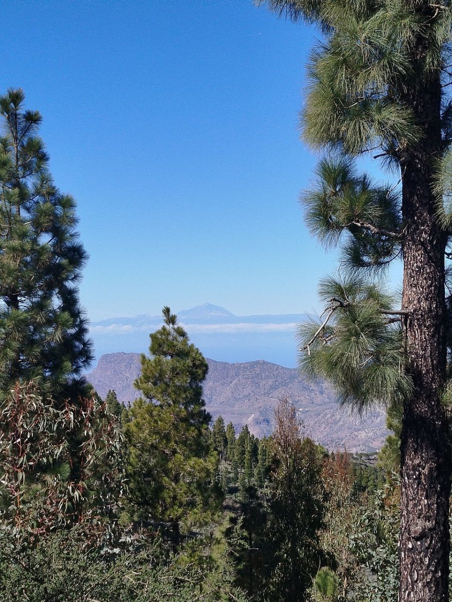 Montaña de Las Mejoranas (1726&nbsp;m)