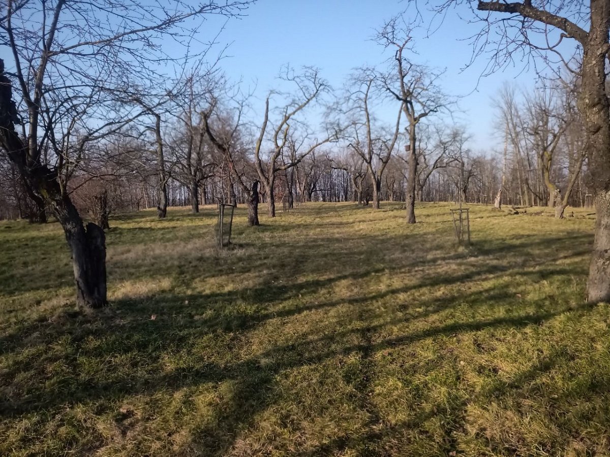 Habrov (287&nbsp;m)