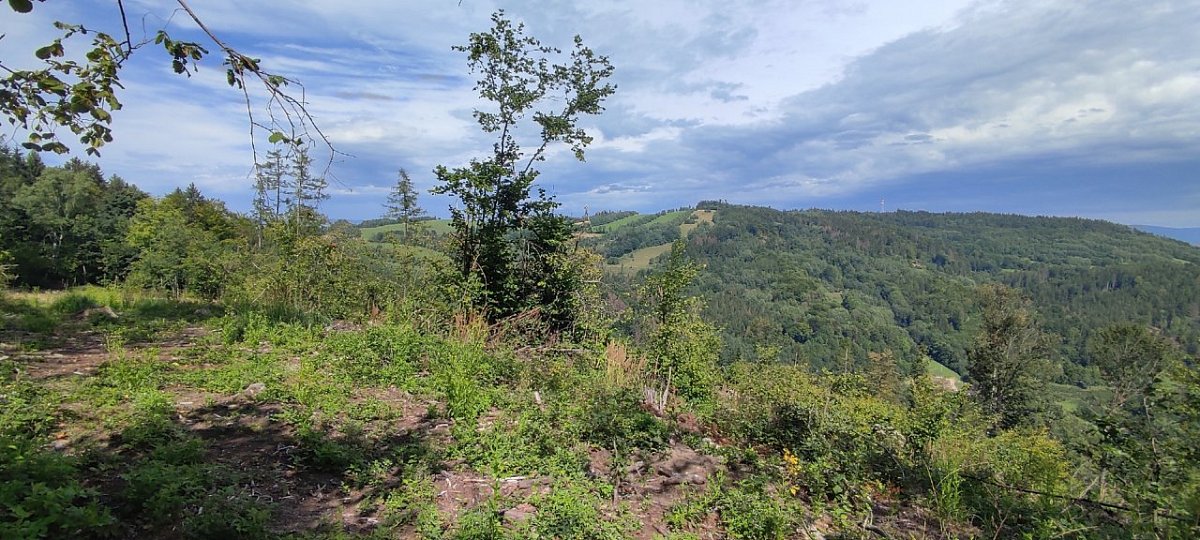 Čapí vrch (646&nbsp;m)
