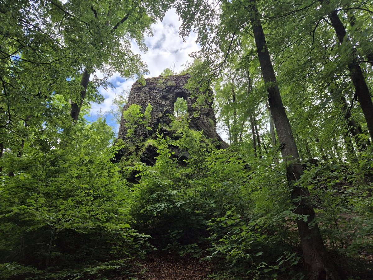 Hamrštejn - zřícenina hradu (375&nbsp;m)