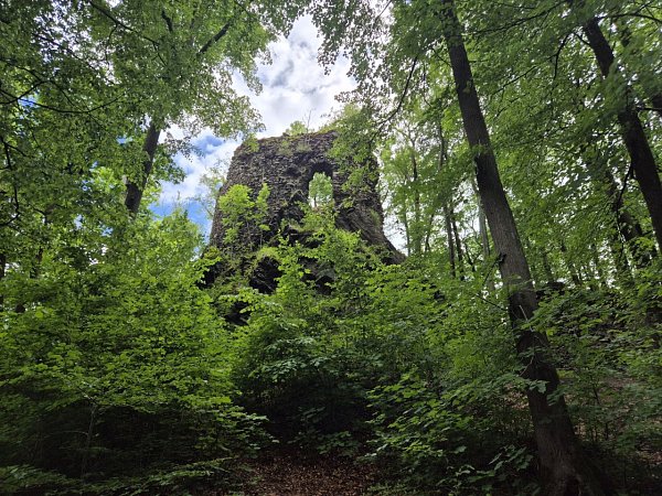 Hamrštejn - zřícenina hradu