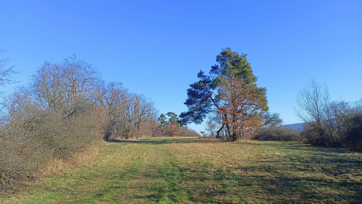 V Doubcích (312&nbsp;m)