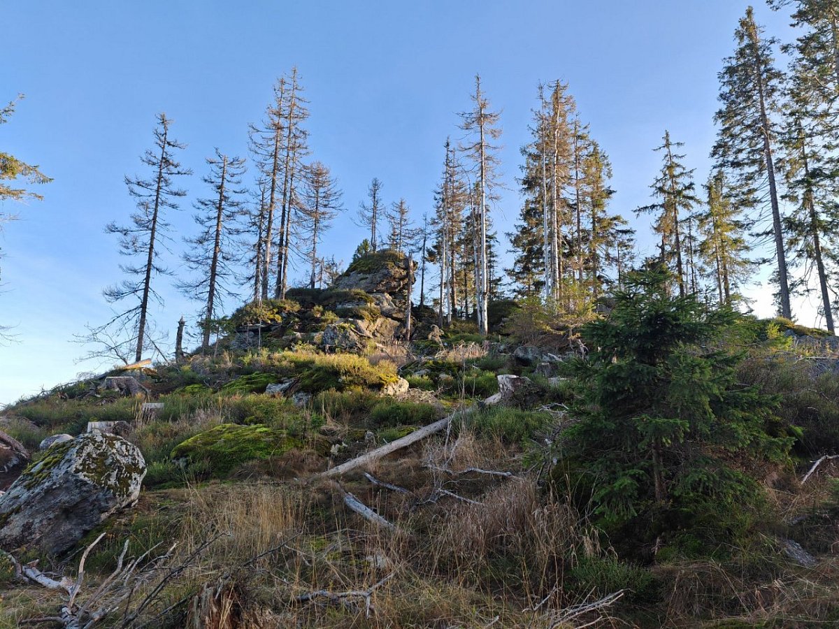Stallriegel (1228&nbsp;m)