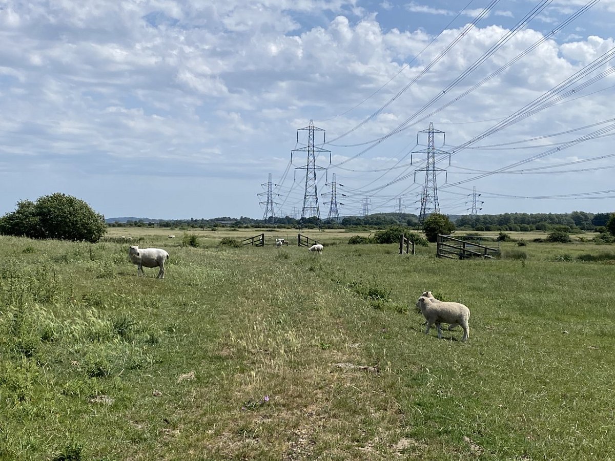 Barrow Hill (5&nbsp;m)