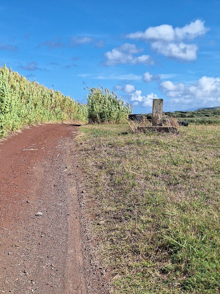 Feteira (76&nbsp;m)