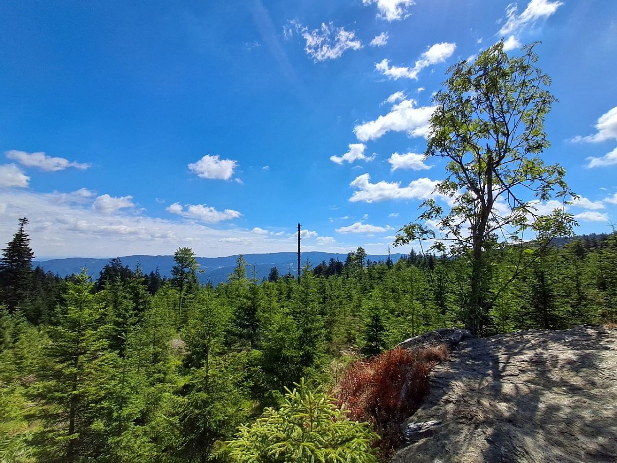 Stráž Lva (1124&nbsp;m)