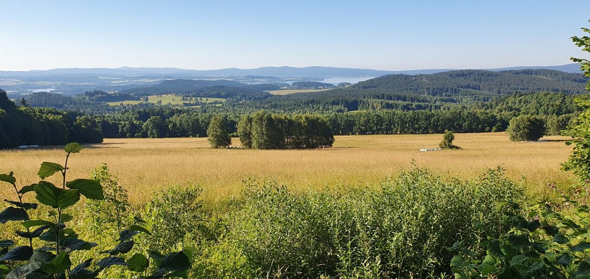 Nad Starou hutí (1048&nbsp;m)