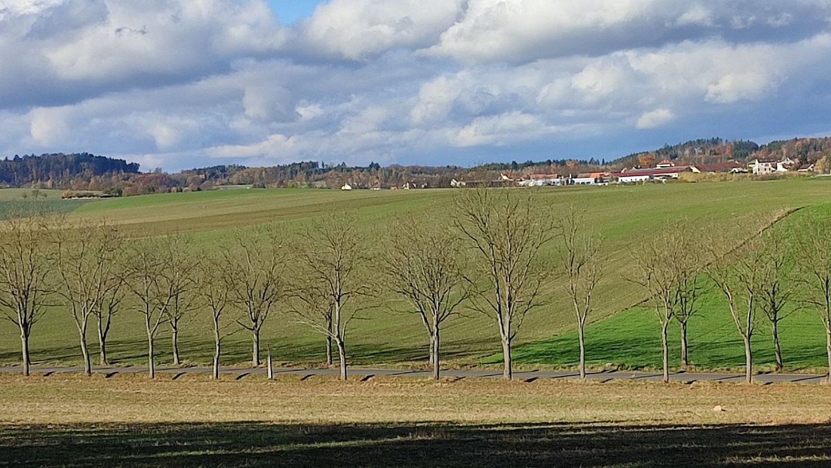 Na Býkovci (407&nbsp;m)