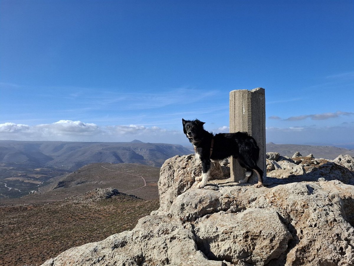 Τραόσταλος (515&nbsp;m)