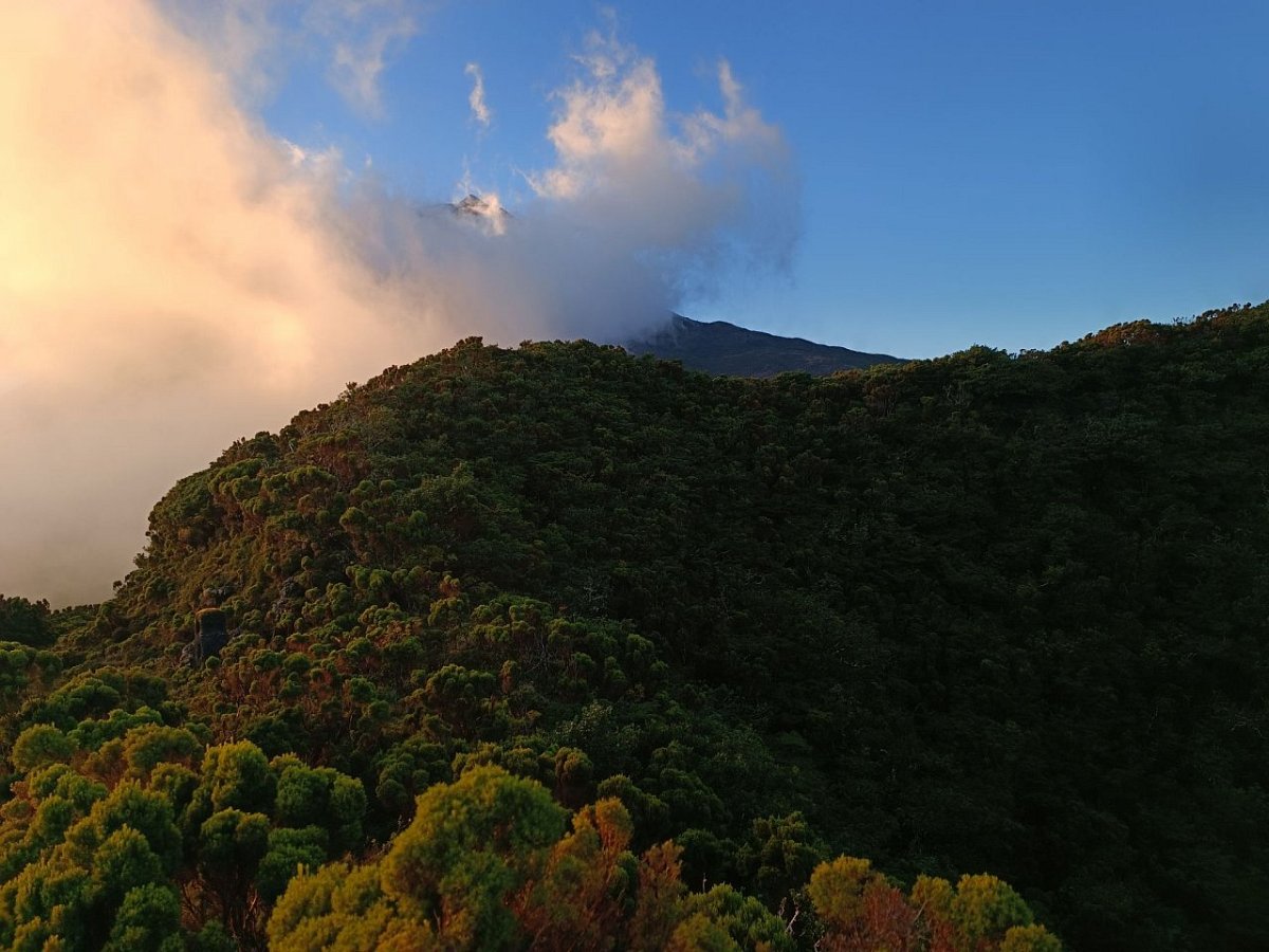 Pico da Urze (899&nbsp;m)