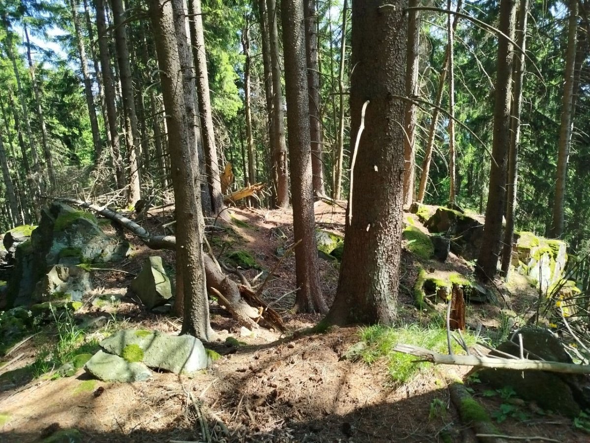 Liščí kámen (1089&nbsp;m)