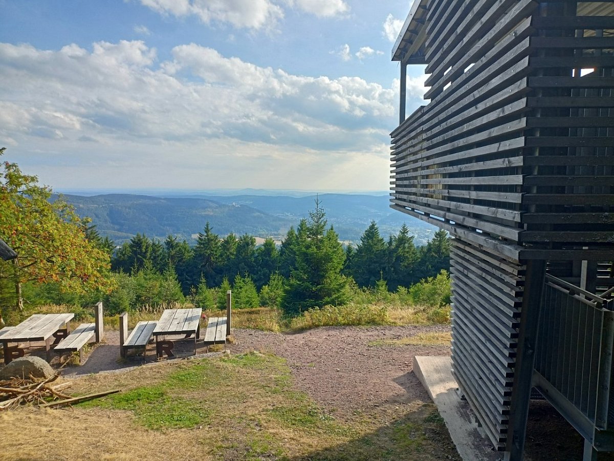 Großer Beerberg (983&nbsp;m)