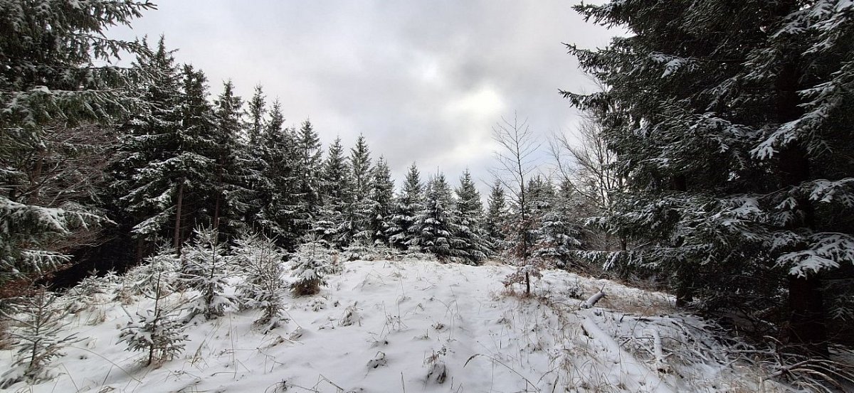 Horní Kobylářka (846&nbsp;m)