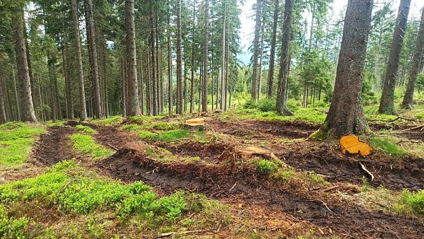 Kochánovský vrch
