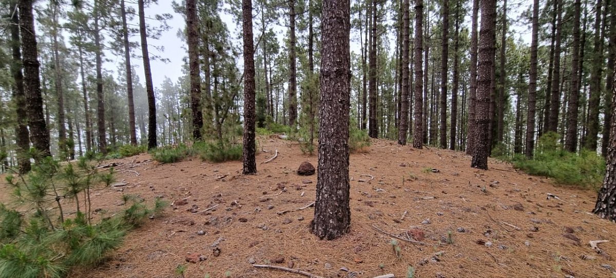 Morra Itote (1795 m)