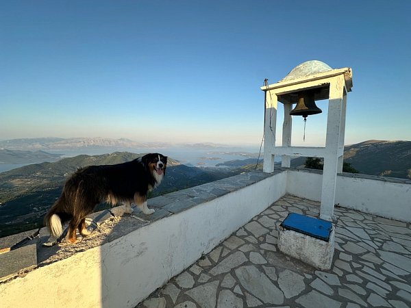 Profitas Ilias