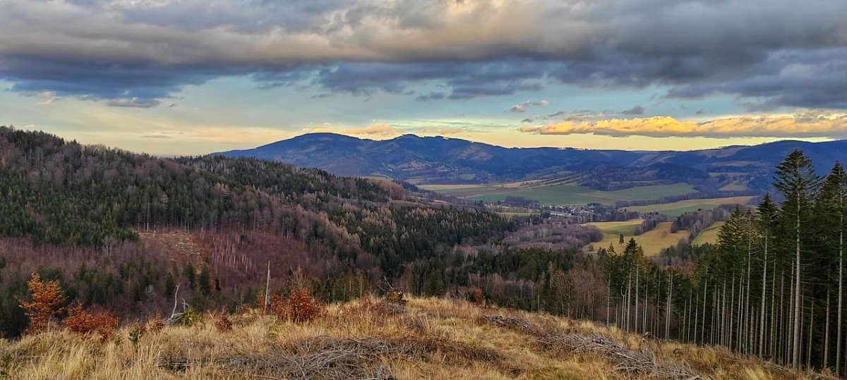 Bezový (685&nbsp;m)