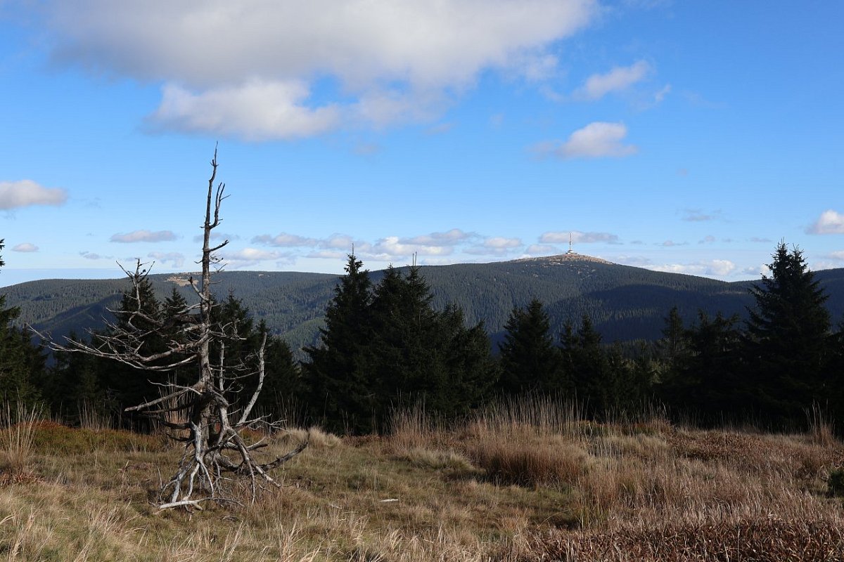 Vřesník (1342&nbsp;m)