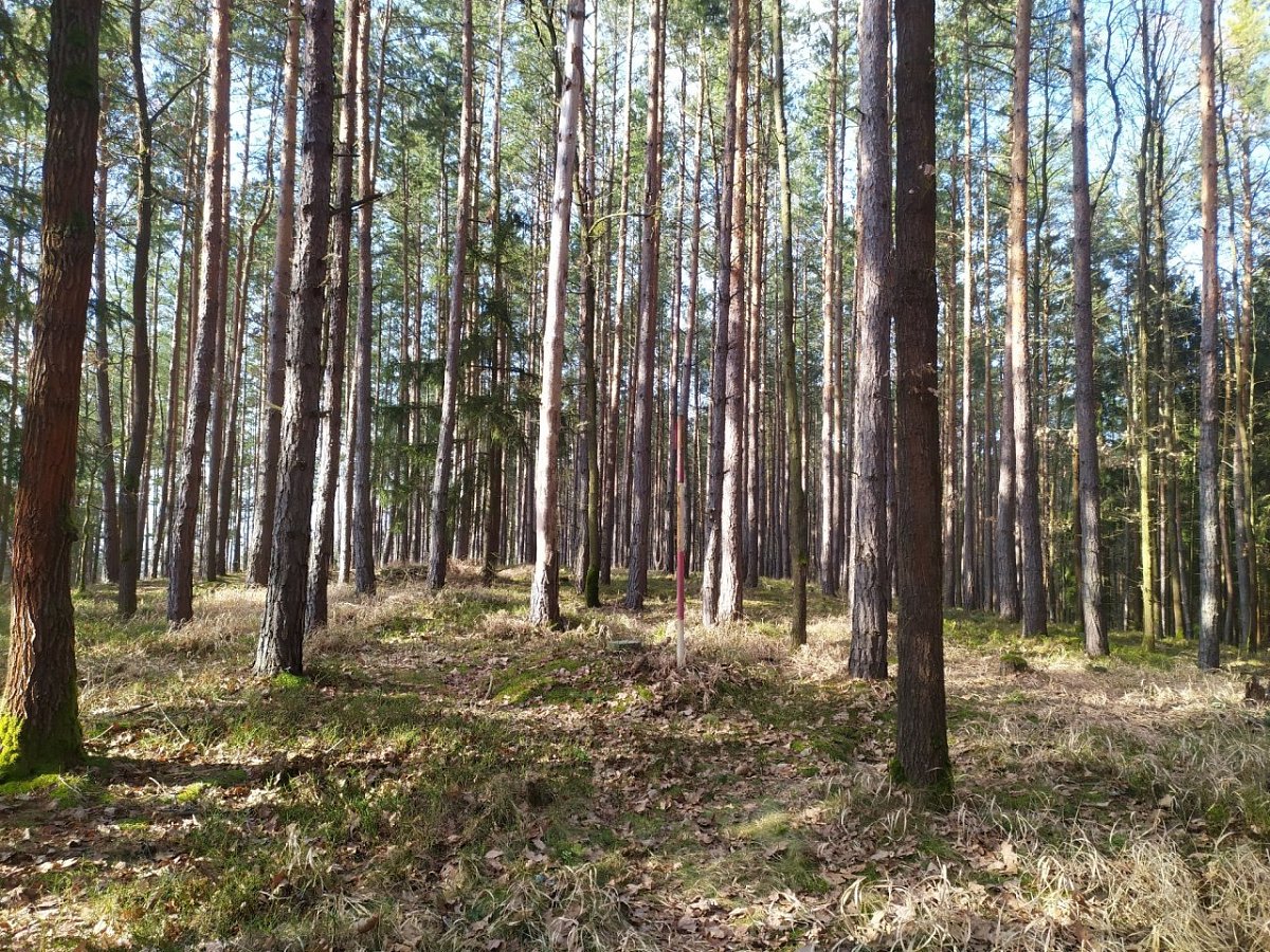 Vráže (480&nbsp;m)