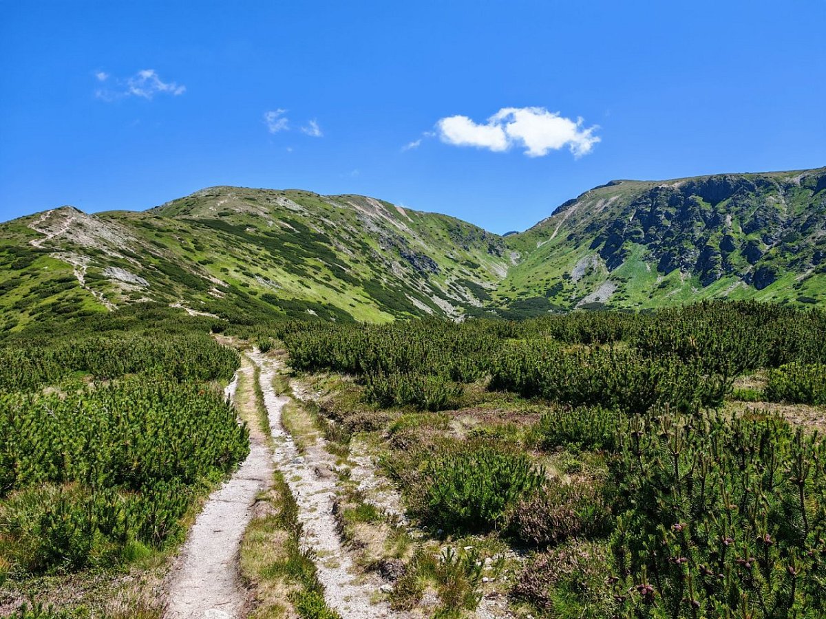 Brestová (1932&nbsp;m)