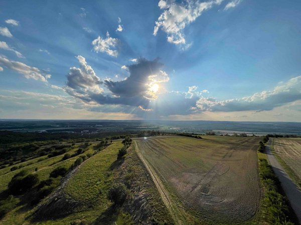 Výhon