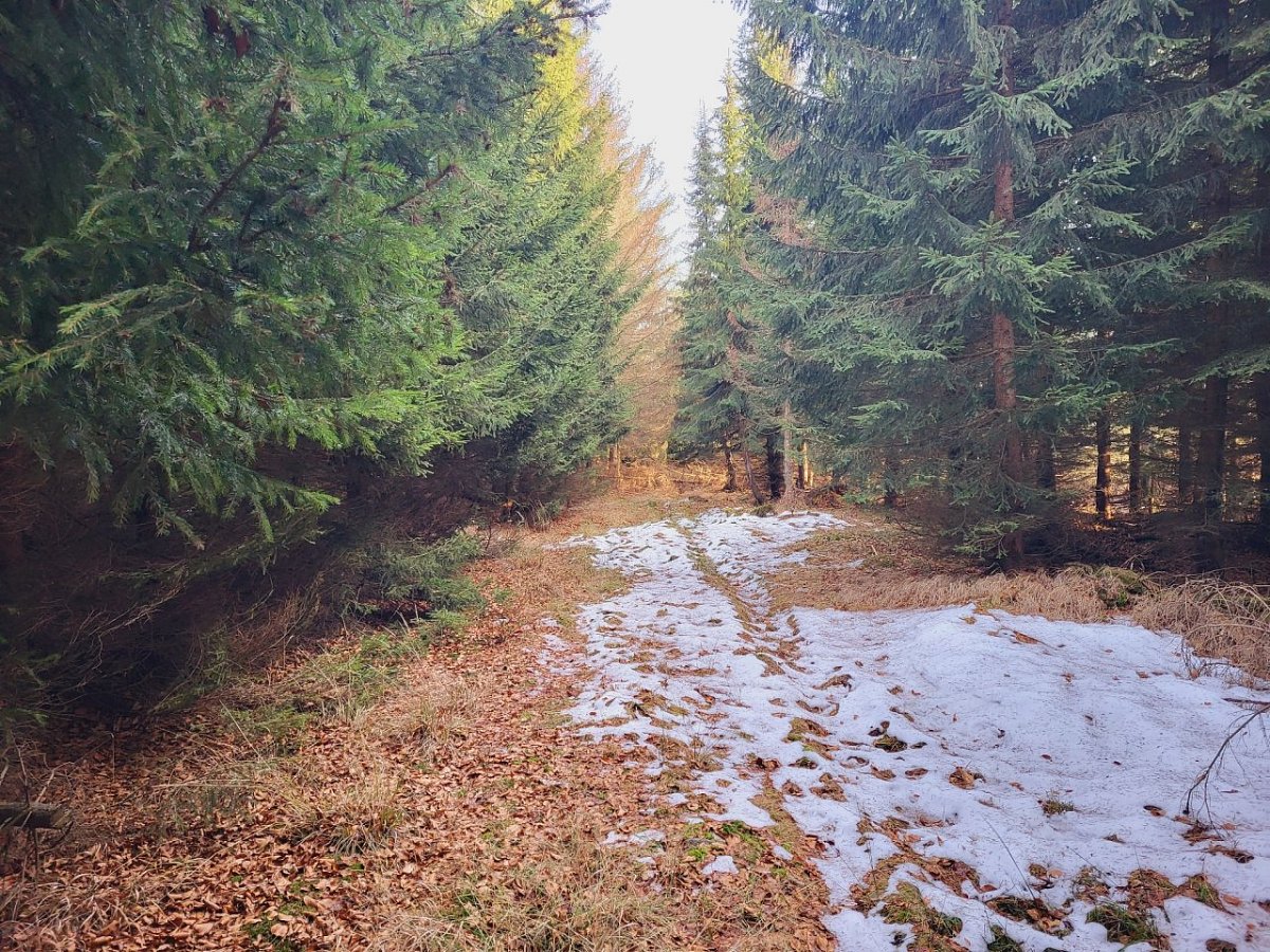 Srnčí vrch (1027&nbsp;m)