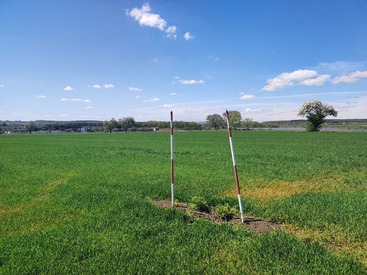 Vosáhlův kopec (239&nbsp;m)