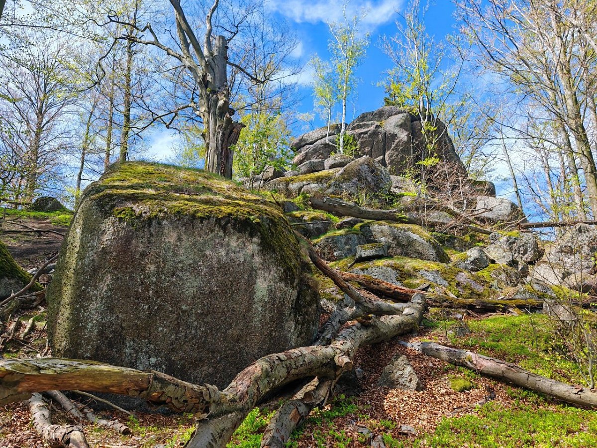 Pohanský vrch (589&nbsp;m)