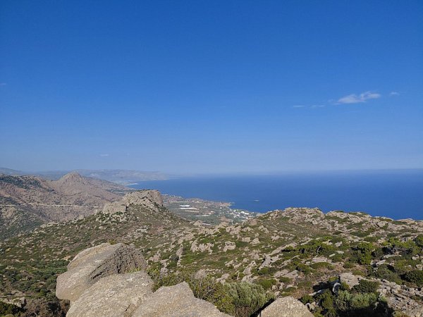 Ρίζα