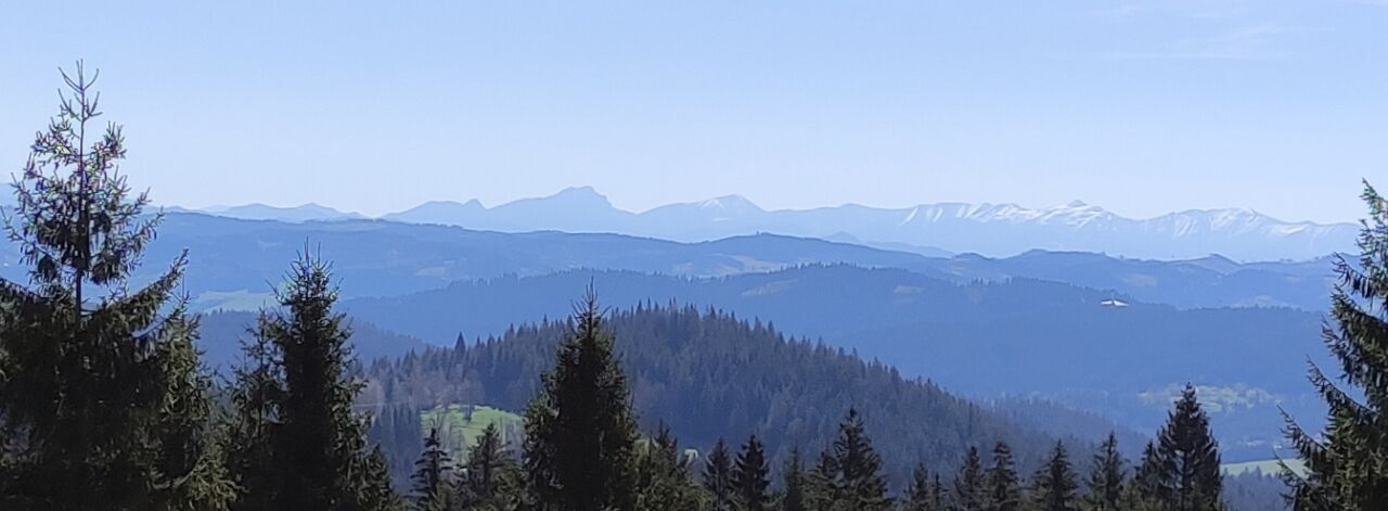 Bobek / Bobok