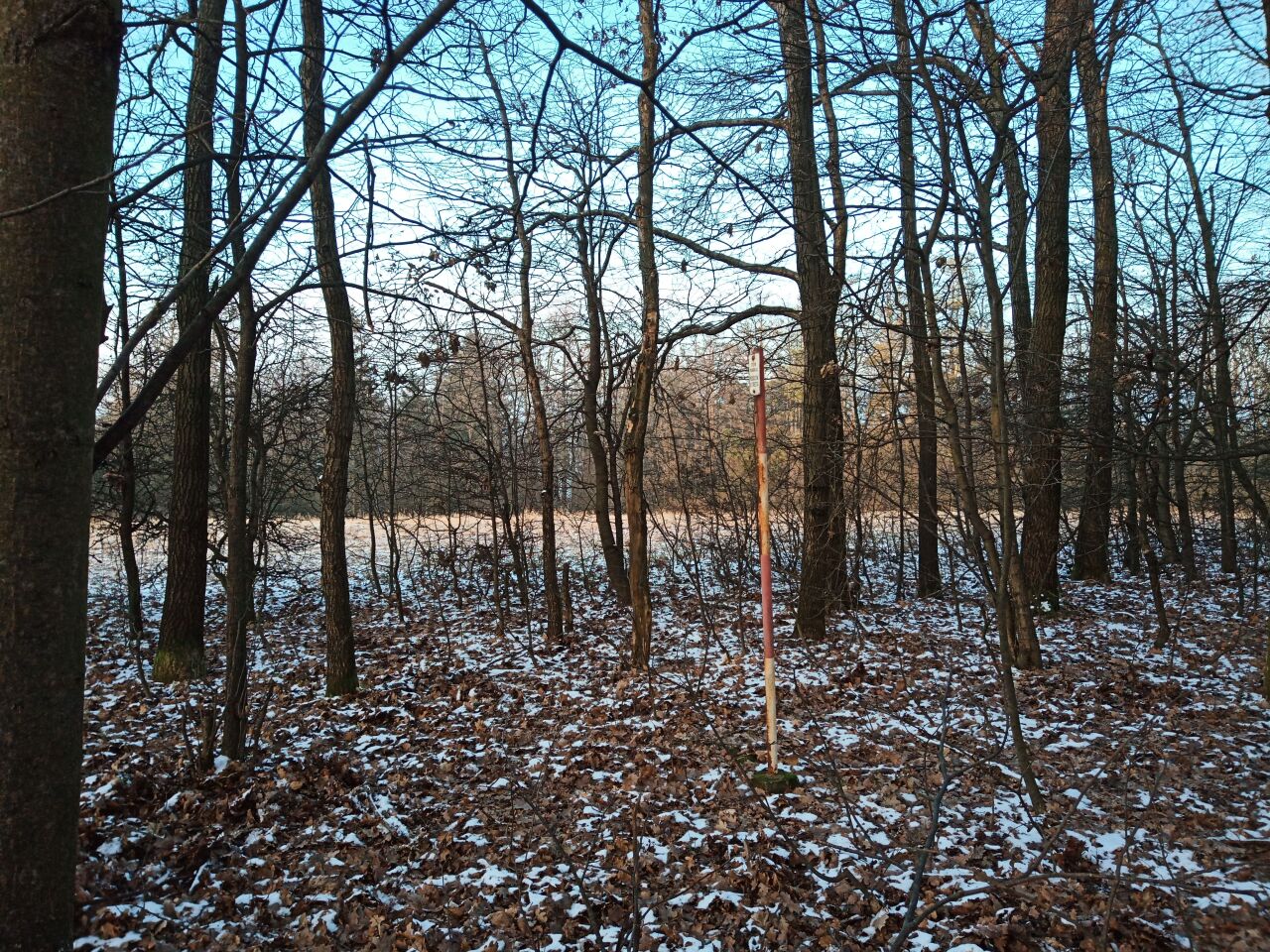 Bojiště (439&nbsp;m)
