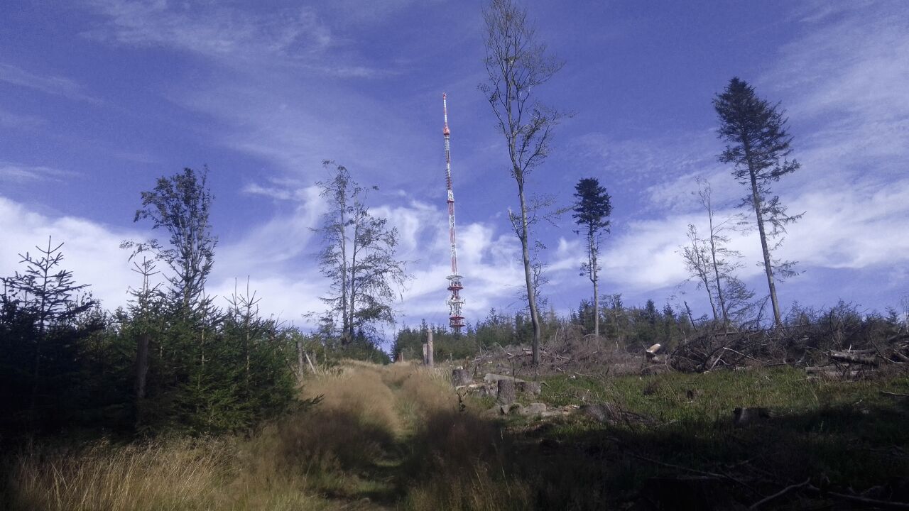 Javořice (837&nbsp;m)