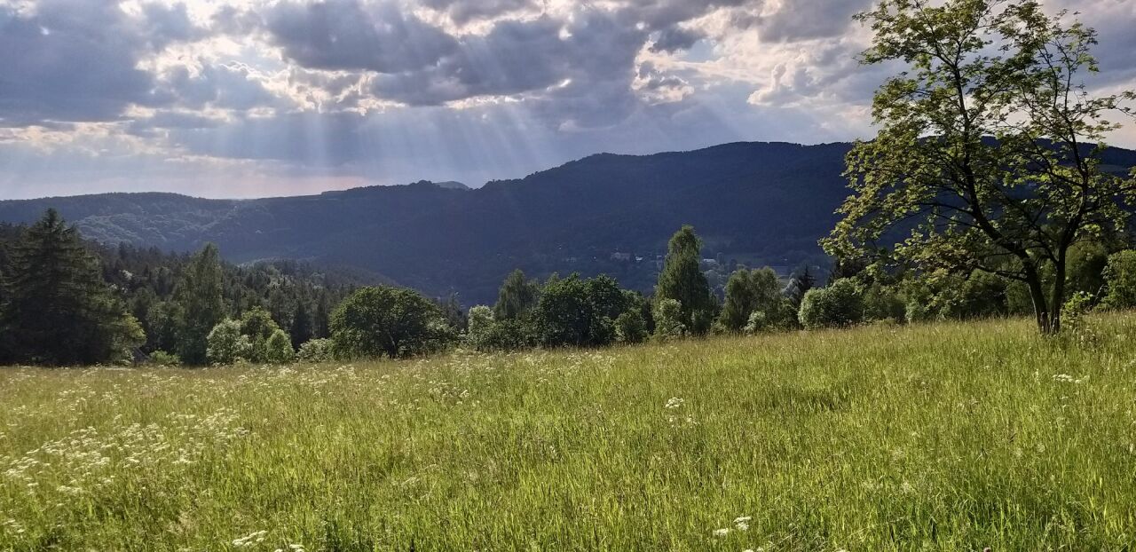 Prosíčka (467 m)