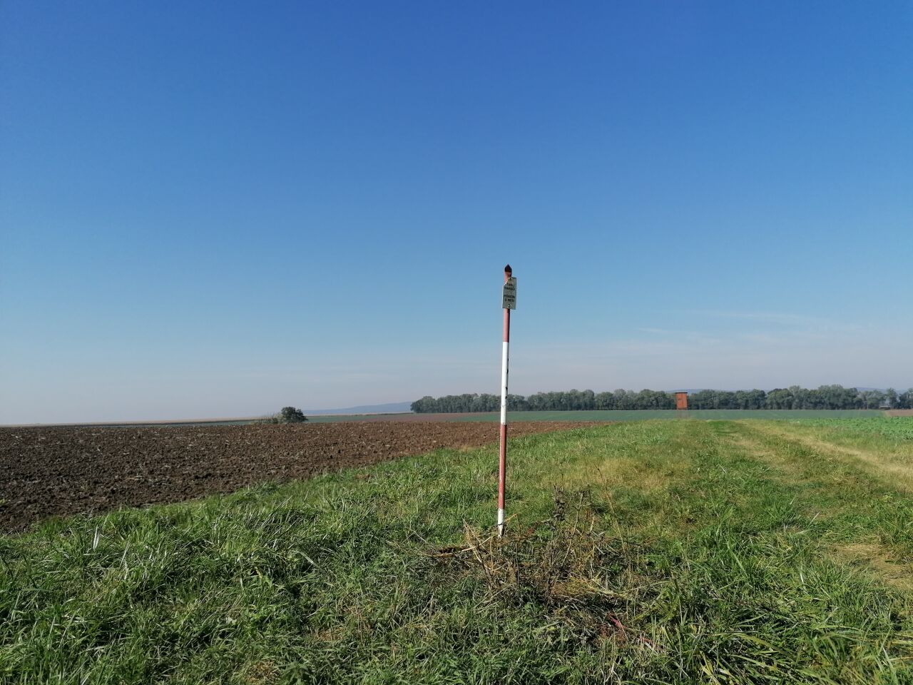 Špice